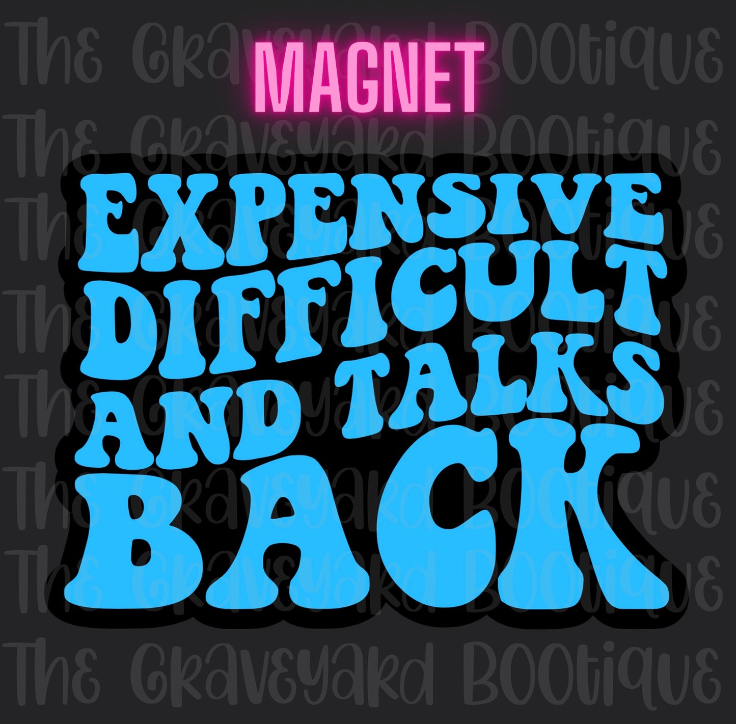 Expensive Difficult & Talks Back Magnet