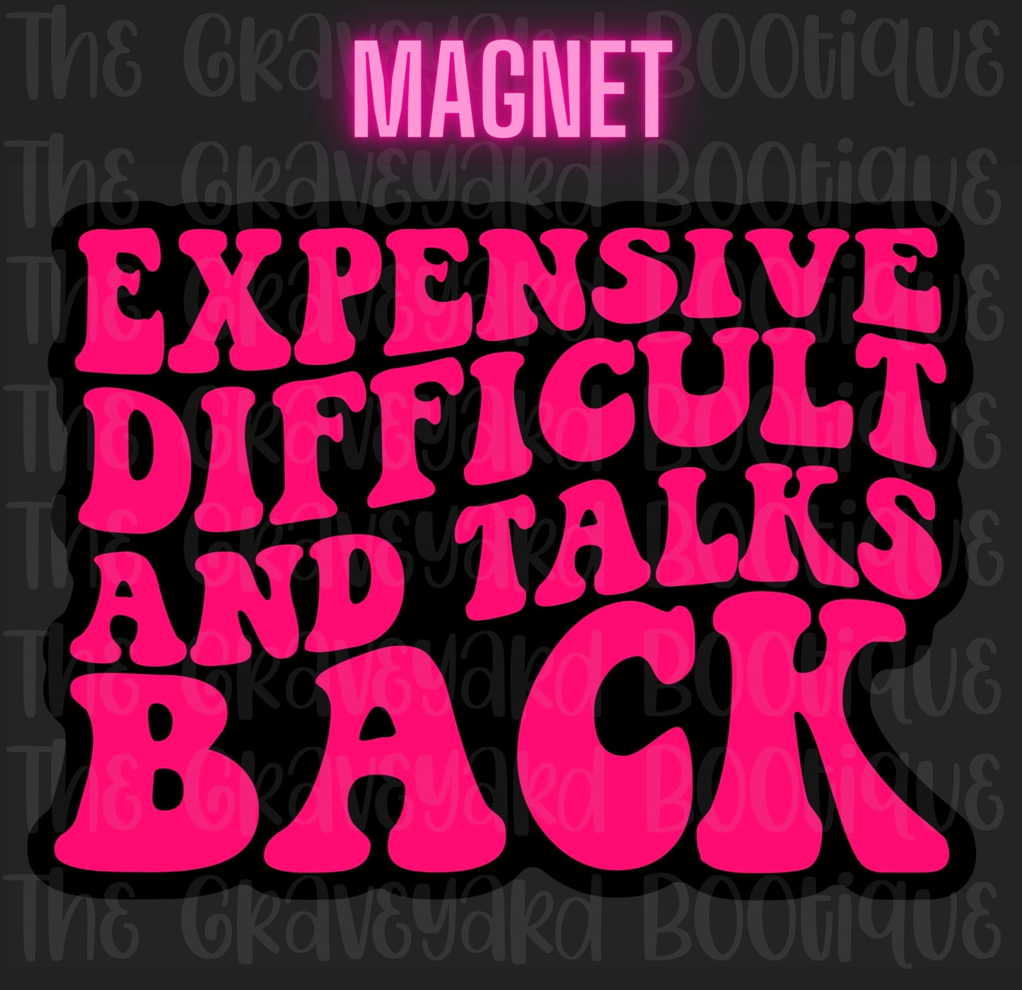 Expensive Difficult & Talks Back Magnet